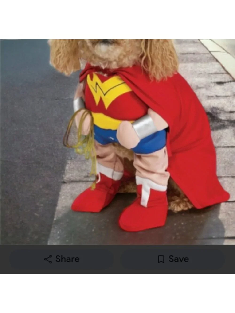 Wonder Woman pet costume Dog Costume Size small Superhero Dog Costume